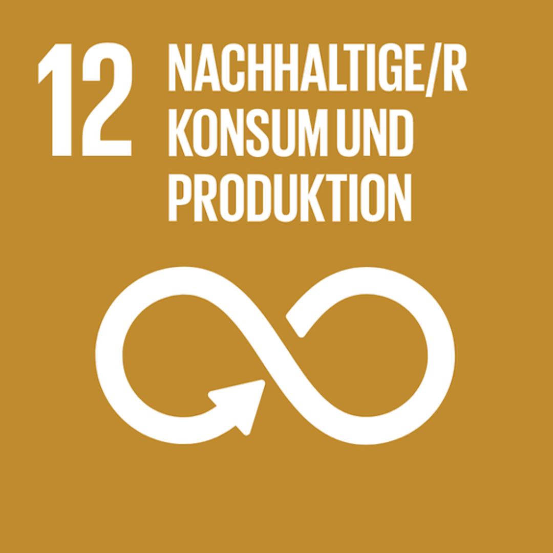 SDG 12 – Nachhaltige/r Konsum und Produktion