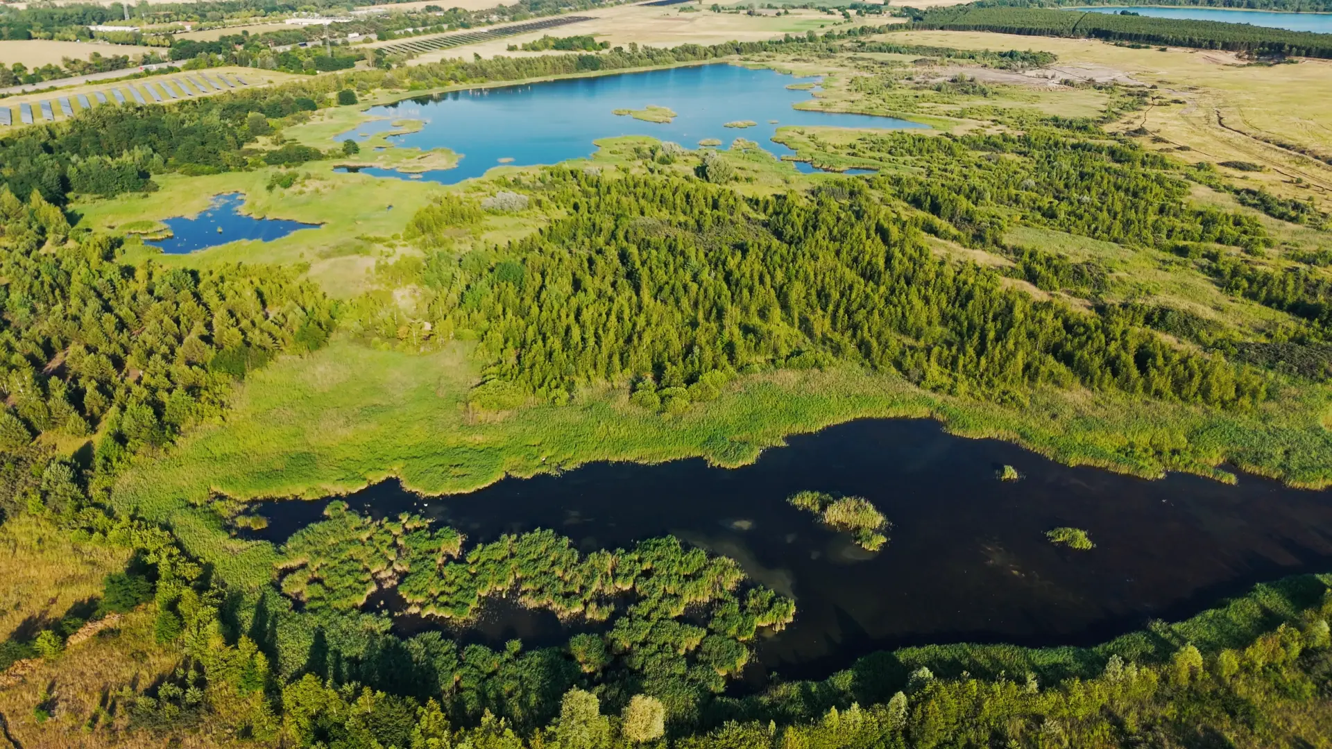 Aerial view of European wetland landscape