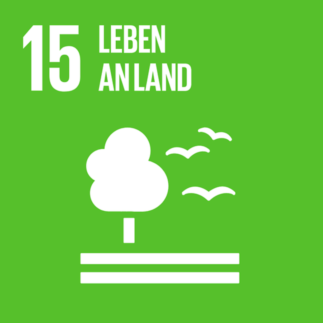 SDG 15 – Leben an Land