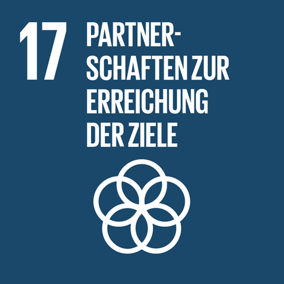 SDG 17 – Partnerschaften zur Erreichung der Ziele