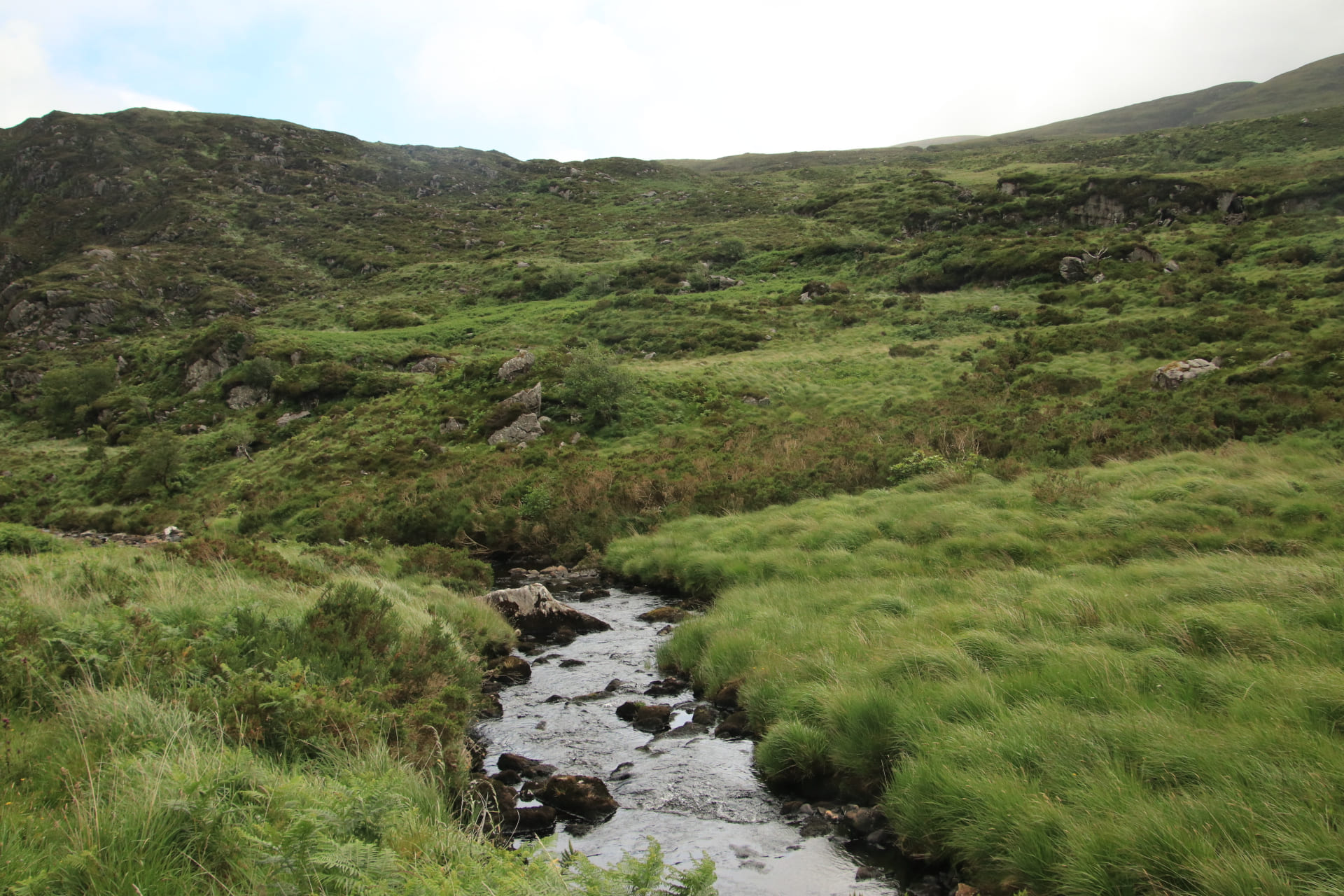 Restored peatland with small pools of Water