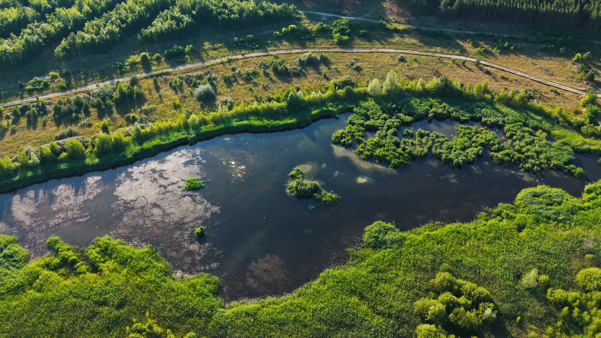 Peatland with stream next to farmland